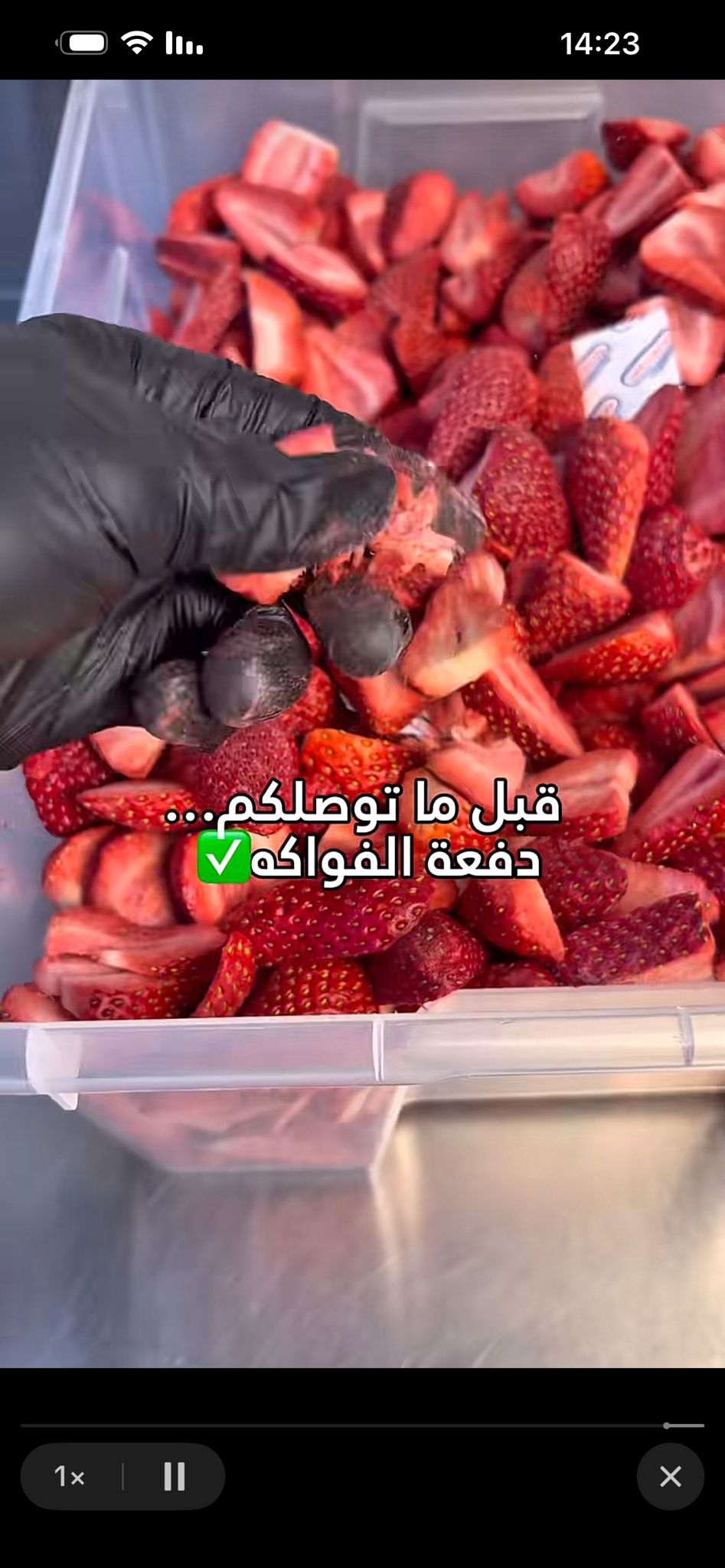 Wholesale Collection ✨