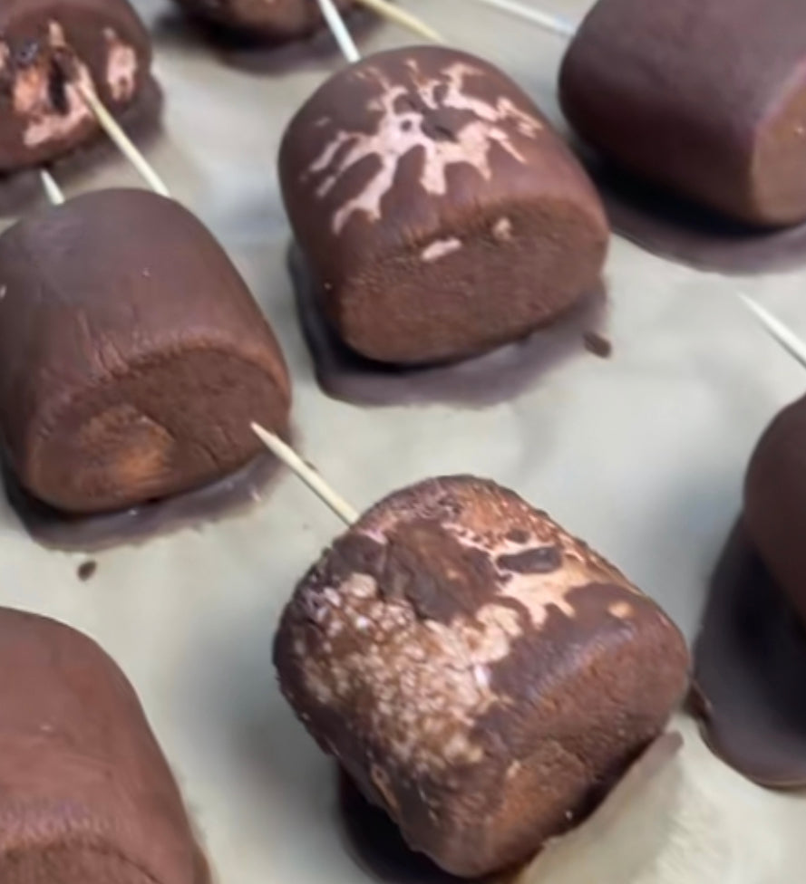 FREEZE DRIED MARSHMALLOWS WITH CHOCOLATE